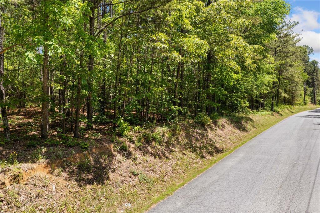 Timberwood Road, White, Georgia image 6