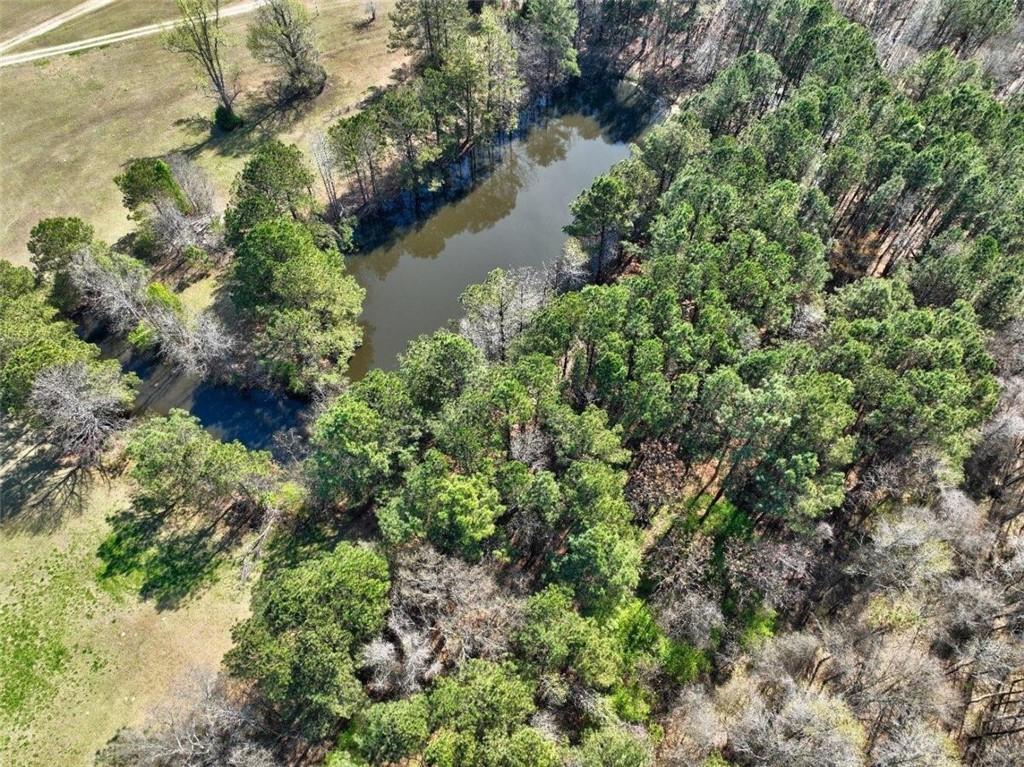 205 Highway 186 Tract 1, Good Hope, Georgia image 20