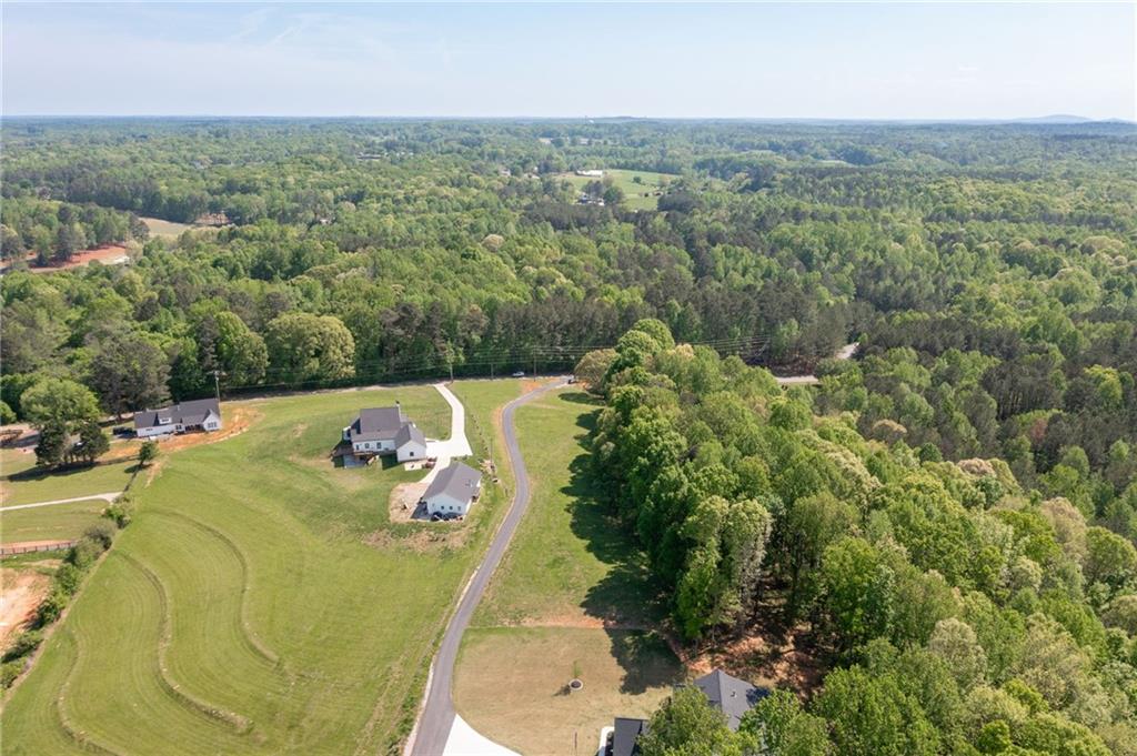 349 Newt Green Road, Cumming, Georgia image 8