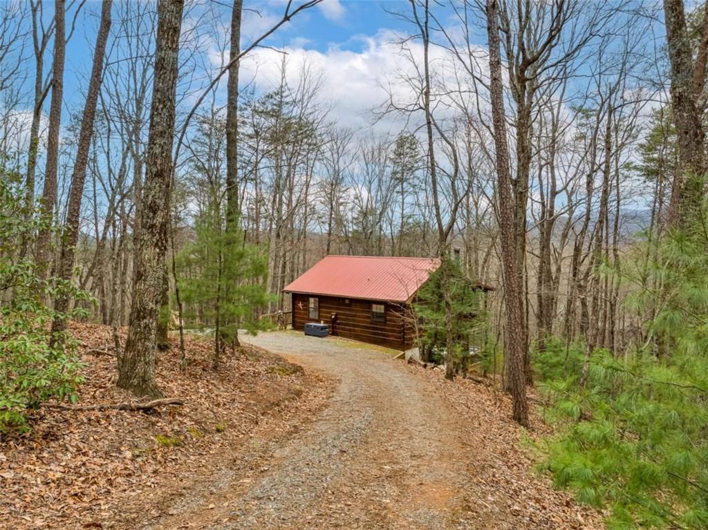 1350 Cherry Lake Drive, Blue Ridge, Georgia image 6