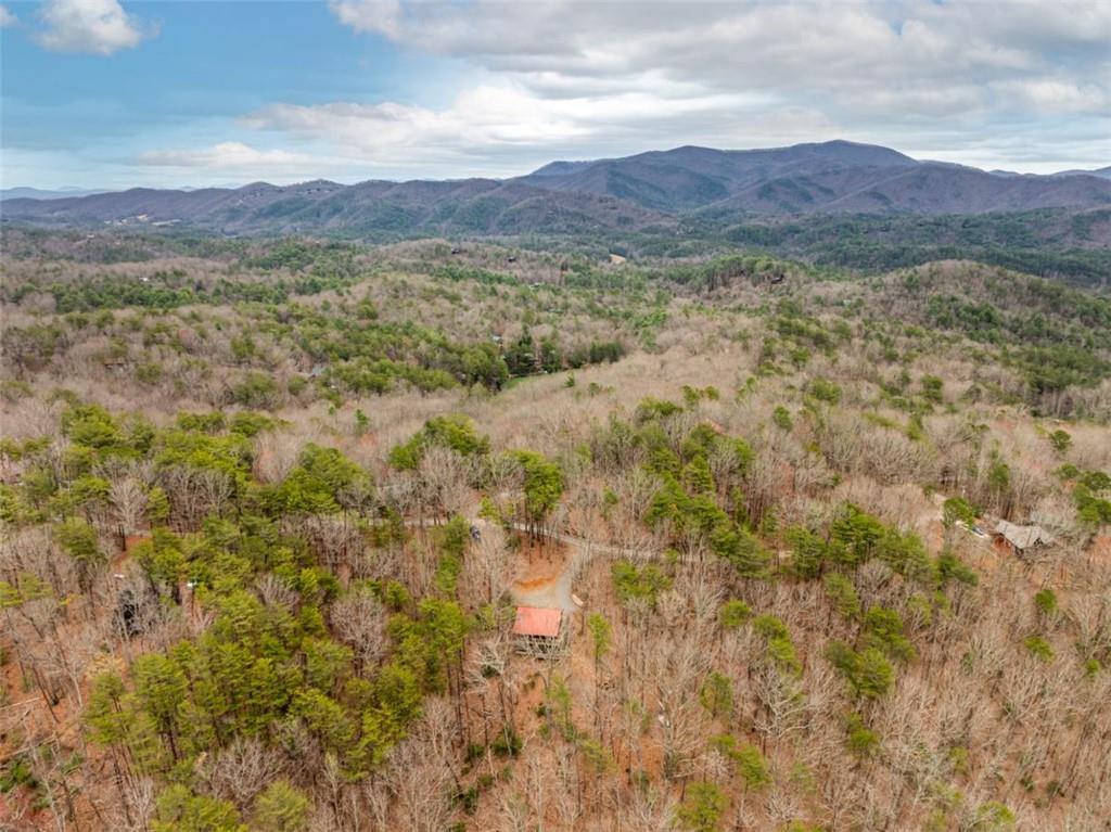 1350 Cherry Lake Drive, Blue Ridge, Georgia image 38