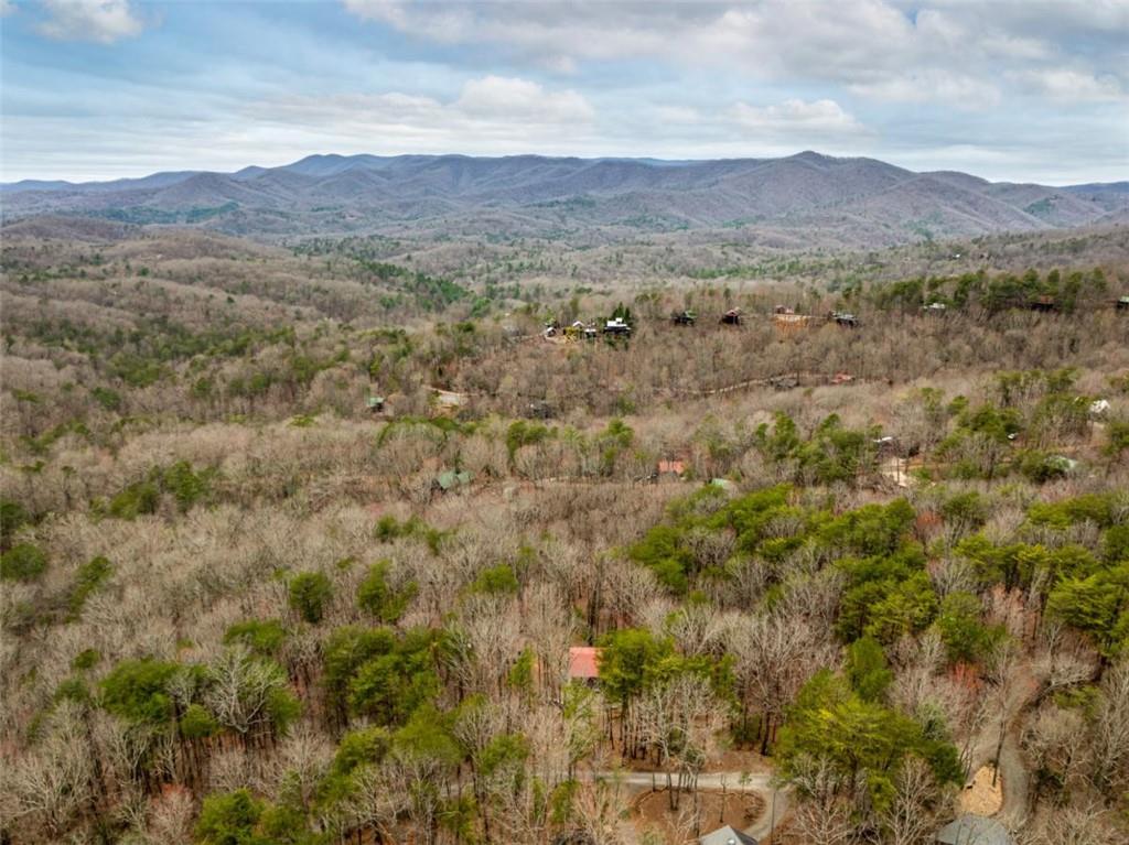 1350 Cherry Lake Drive, Blue Ridge, Georgia image 36
