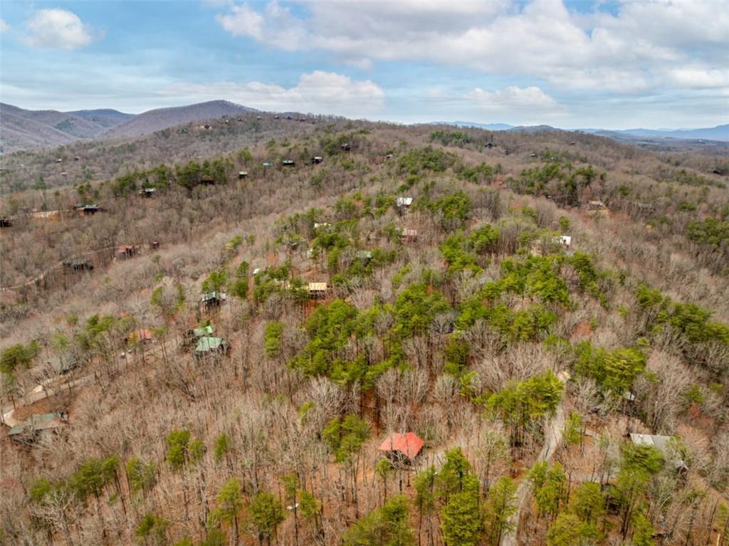 1350 Cherry Lake Drive, Blue Ridge, Georgia image 37