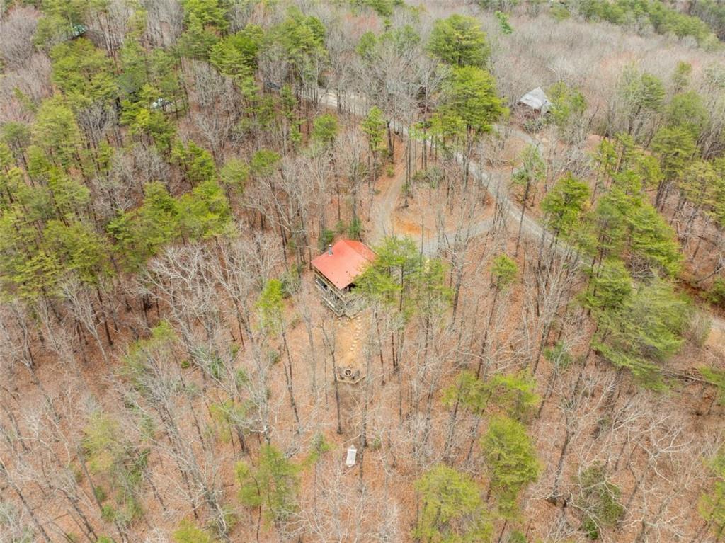 1350 Cherry Lake Drive, Blue Ridge, Georgia image 35