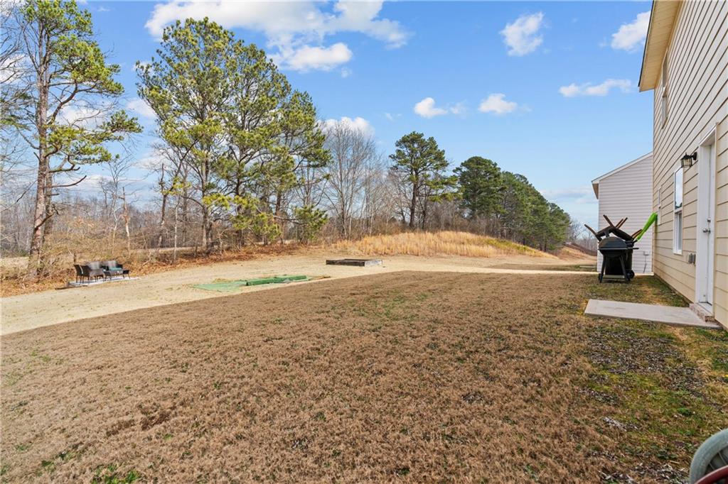 310 Indian Lake Trail, Villa Rica, Georgia image 4