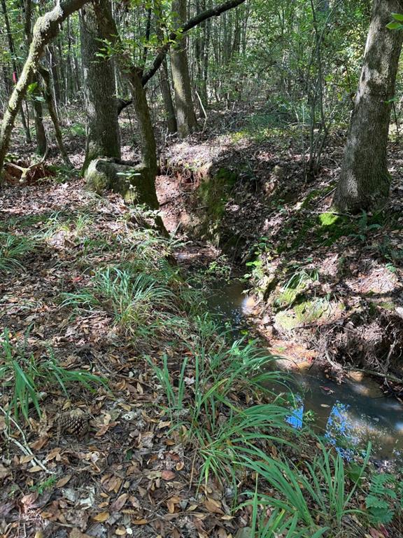 Mauldin Road, Elberton, Georgia image 9