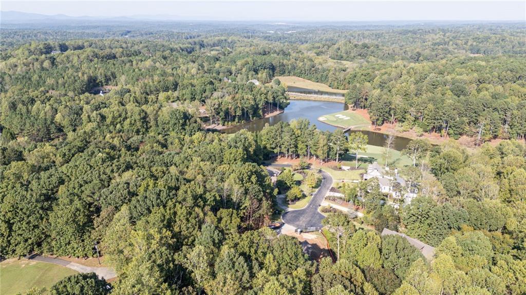 250 Hawks Lake, Lot 23 Drive, Ball Ground, Georgia image 8