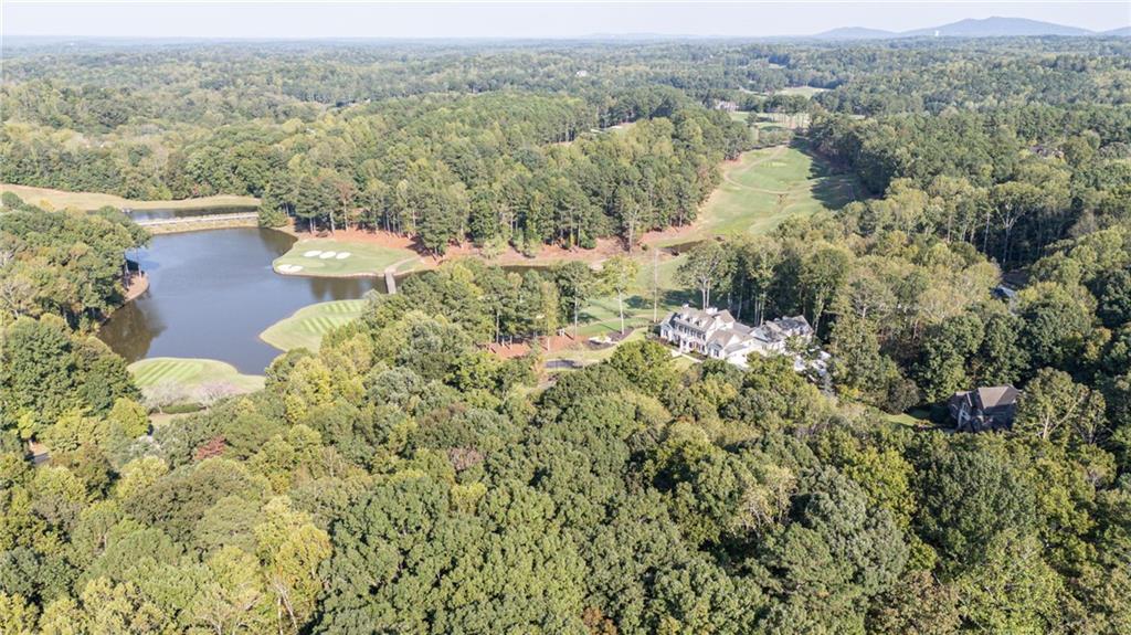 250 Hawks Lake, Lot 23 Drive, Ball Ground, Georgia image 11