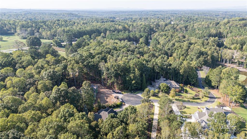 250 Hawks Lake, Lot 23 Drive, Ball Ground, Georgia image 6