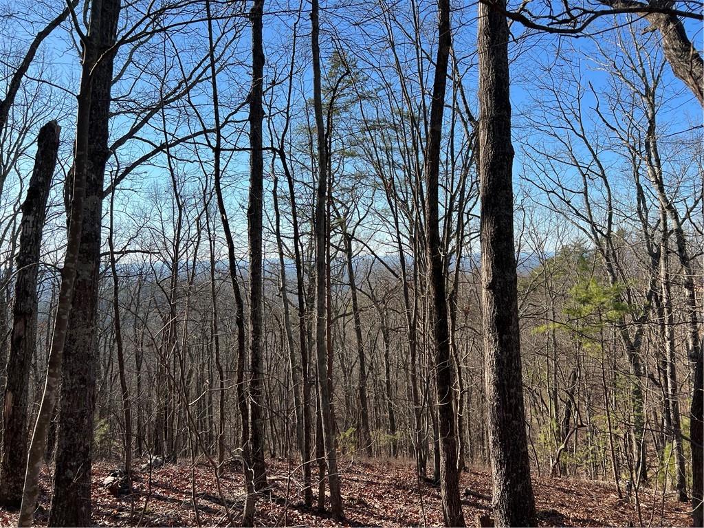 197 Stirratt Road