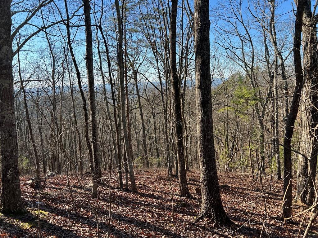 197 Stirratt Road
