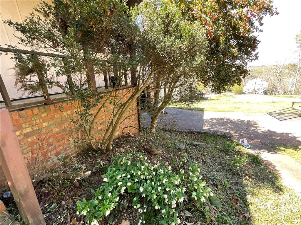 719 Copper Trace Way, Woodstock, Georgia image 8