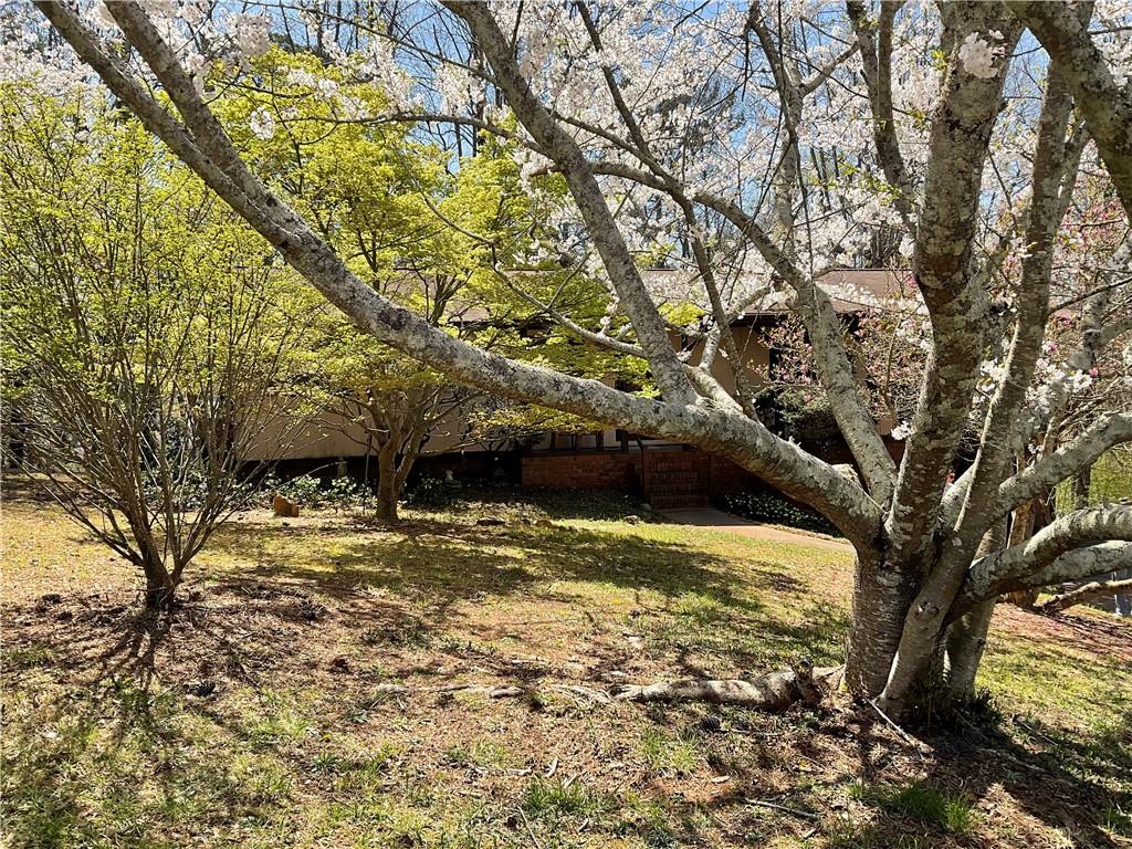 719 Copper Trace Way, Woodstock, Georgia image 3