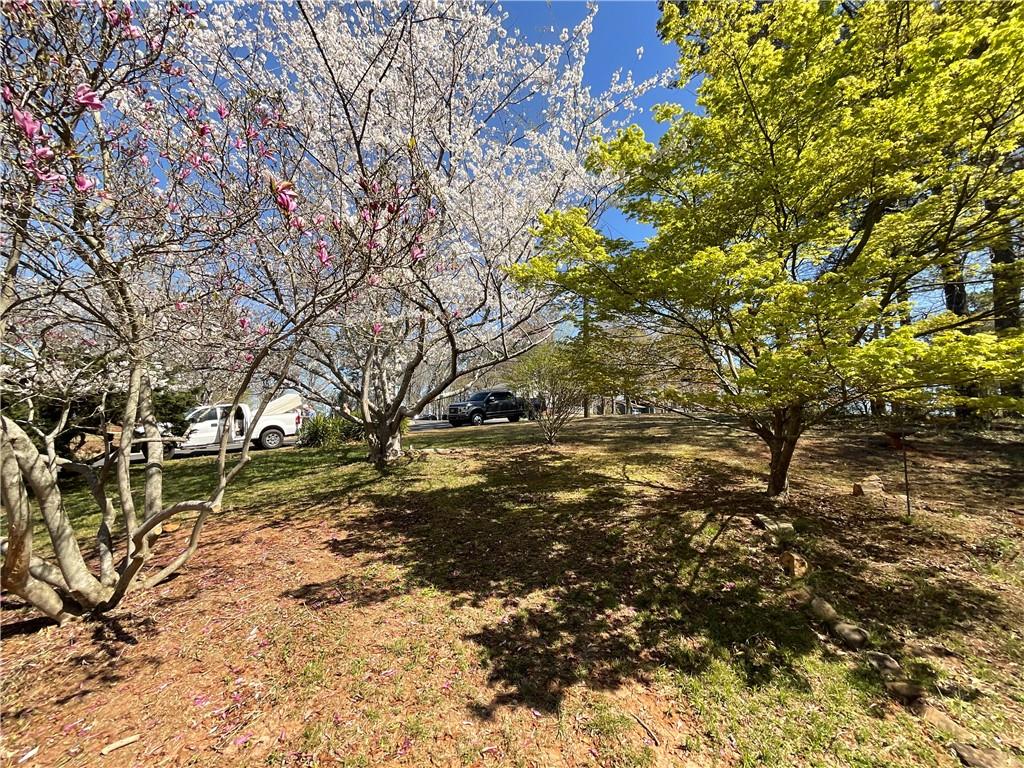 719 Copper Trace Way, Woodstock, Georgia image 9
