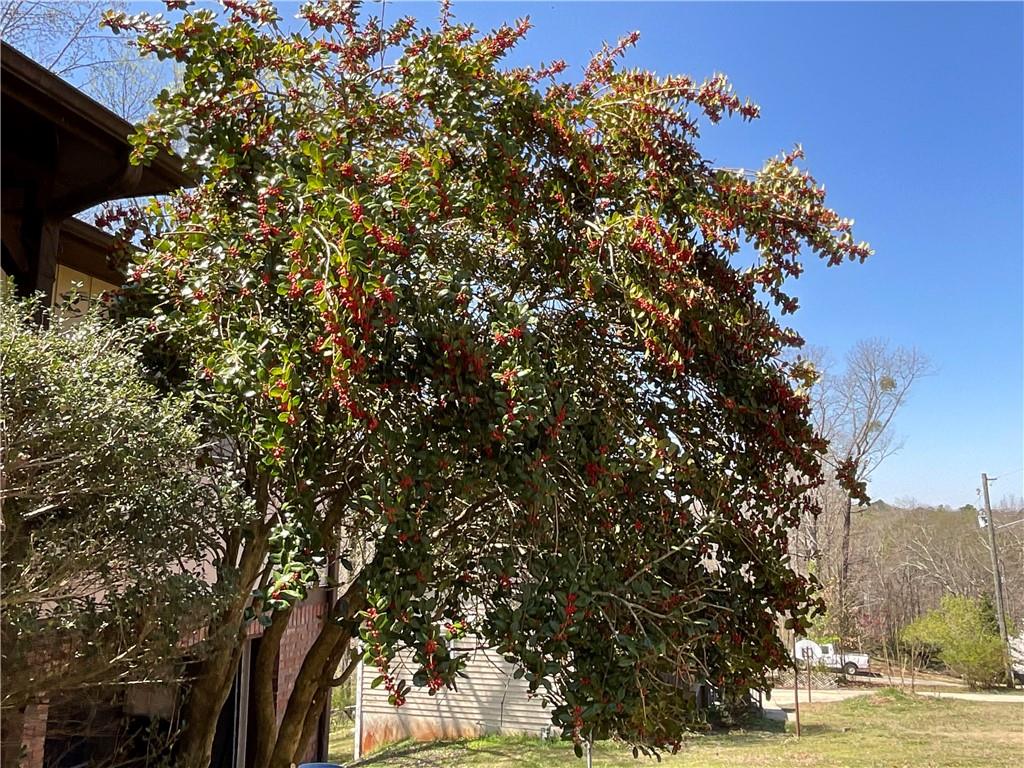 719 Copper Trace Way, Woodstock, Georgia image 6
