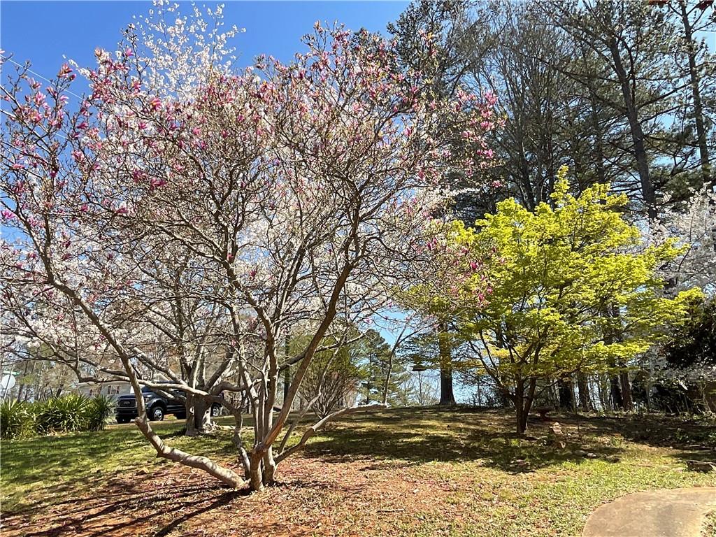 719 Copper Trace Way, Woodstock, Georgia image 10