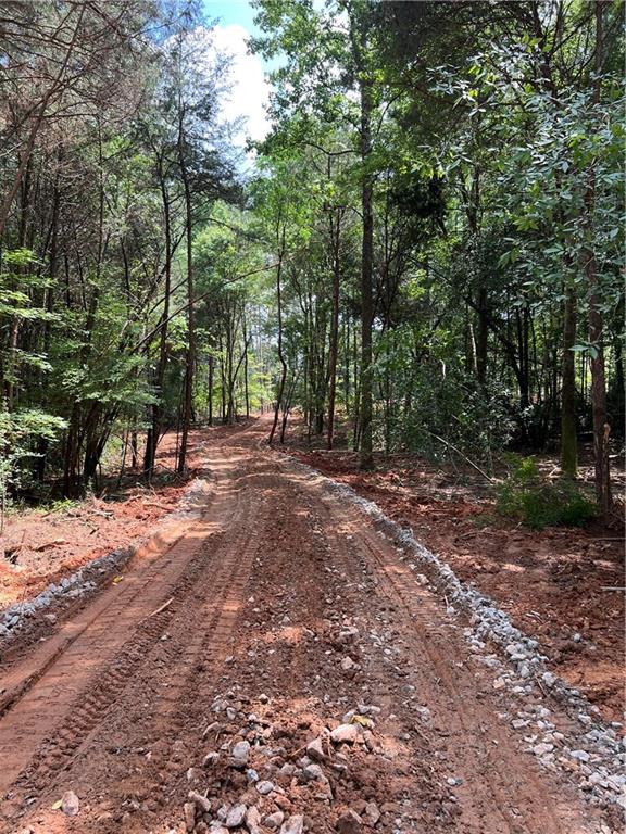 10014 Jefferson River Road