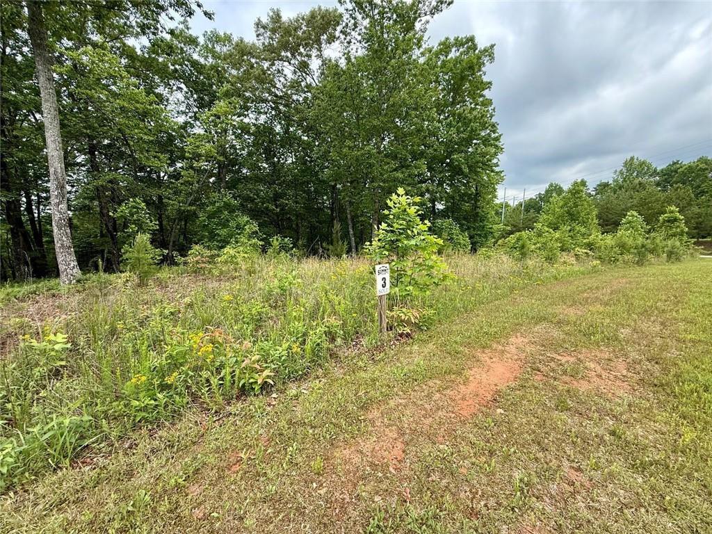 Mountain Ridge Drive, Lot, Clarkesville, Georgia image 8