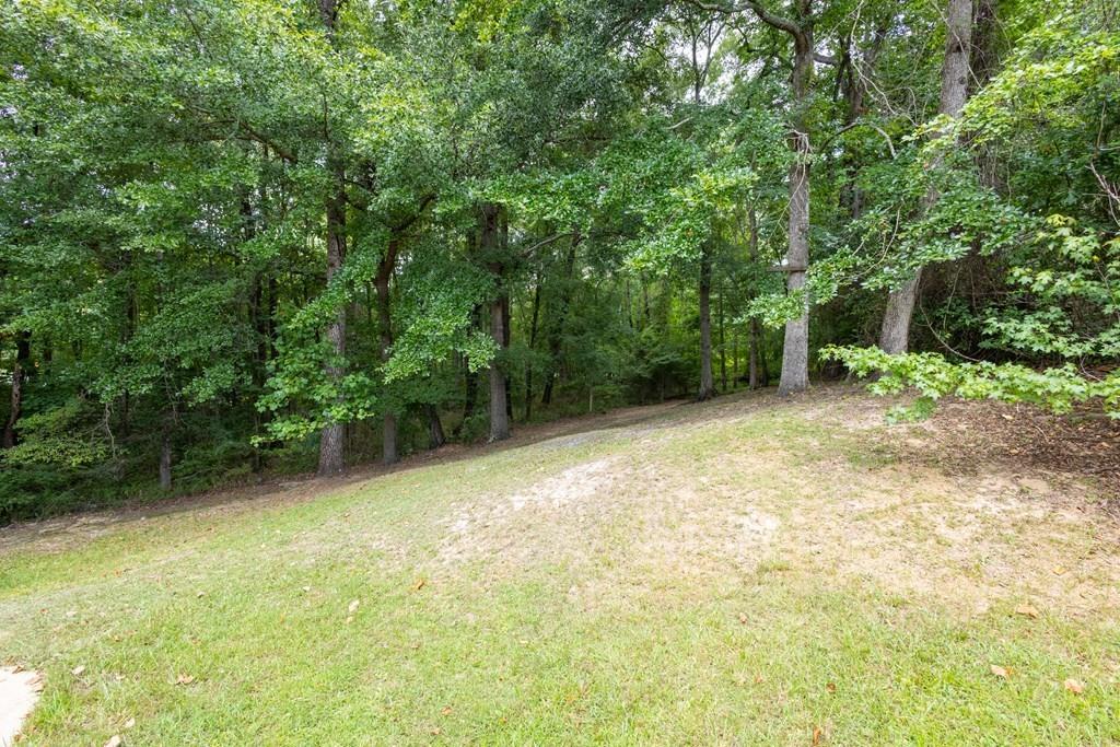 1513 Alamo Dr, Columbus, Georgia image 5
