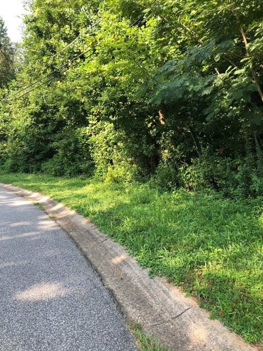 This is a perfect investment opportunity! Builders lets get started building. It would also be a perfect spot to build your dream home! Or build a home for yourself and build one to sell! Endless options with this 2.96 acre lot. Great location in quiet neighborhood, close to down town Woodstock where you will find shopping, restaurants and entertainment.