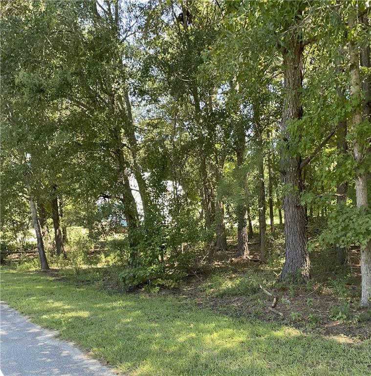 1091 Mantahala Lot 1 Avenue