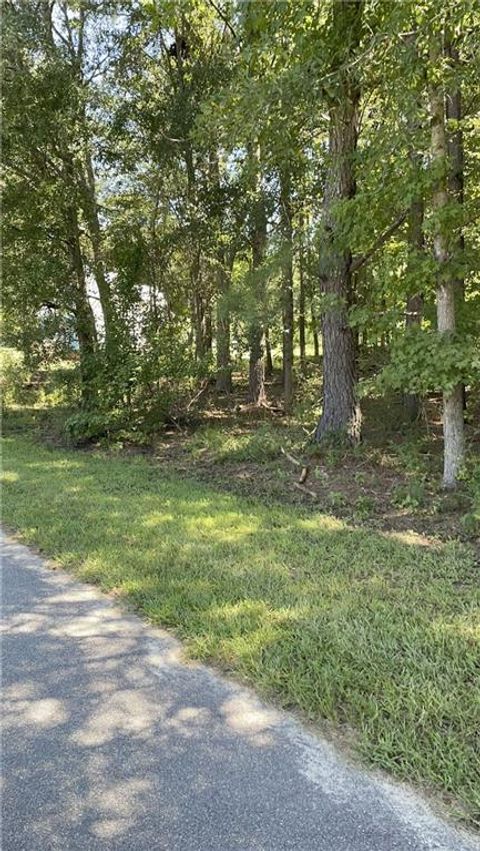 1091 Mantahala Lot 1 Avenue Greensboro GA 30642