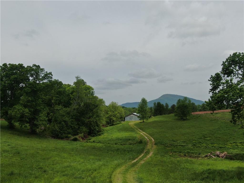 Cleveland Highway, Clermont, Georgia image 1