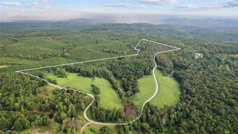 Vacant Land For Sale - Treat Mountain Road<br/> Cedartown, GA 30125