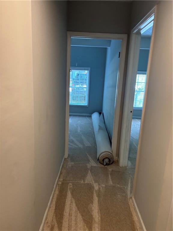 1120 Brandon Hill Way