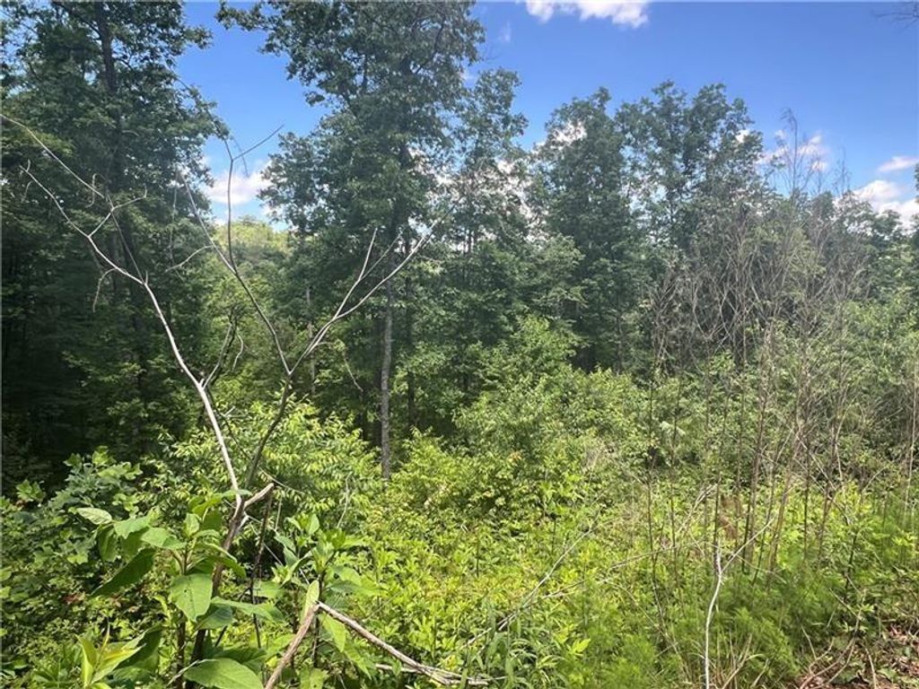 Photo of 75 Hope Court, Ellijay, GA 30540 (MLS # 7704065)