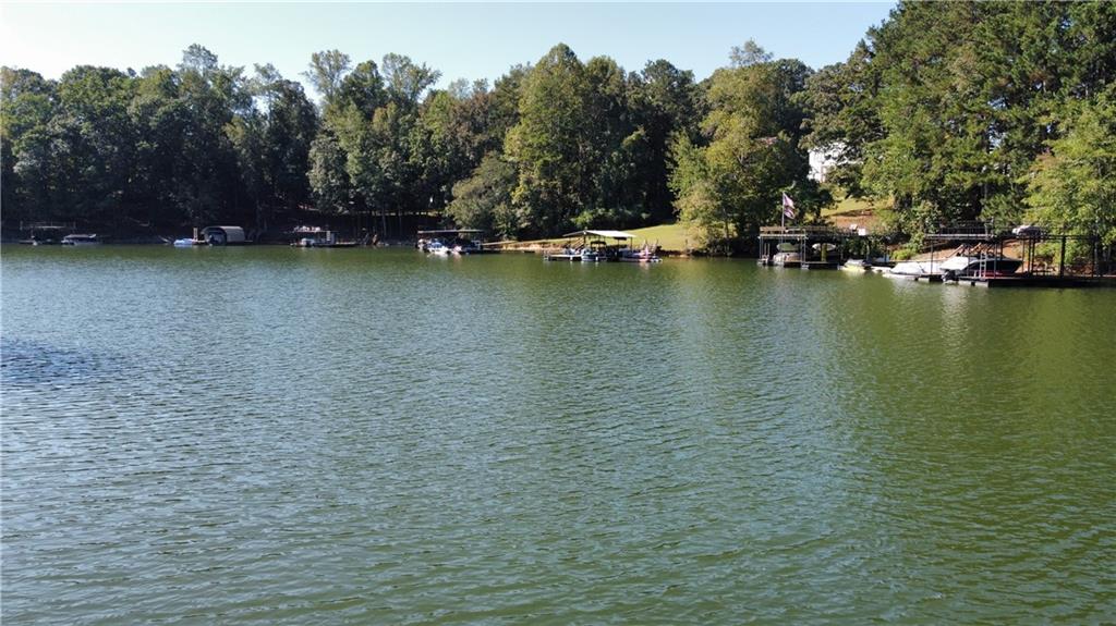 97 Apple Blossom Circle, Dawsonville, Georgia image 43