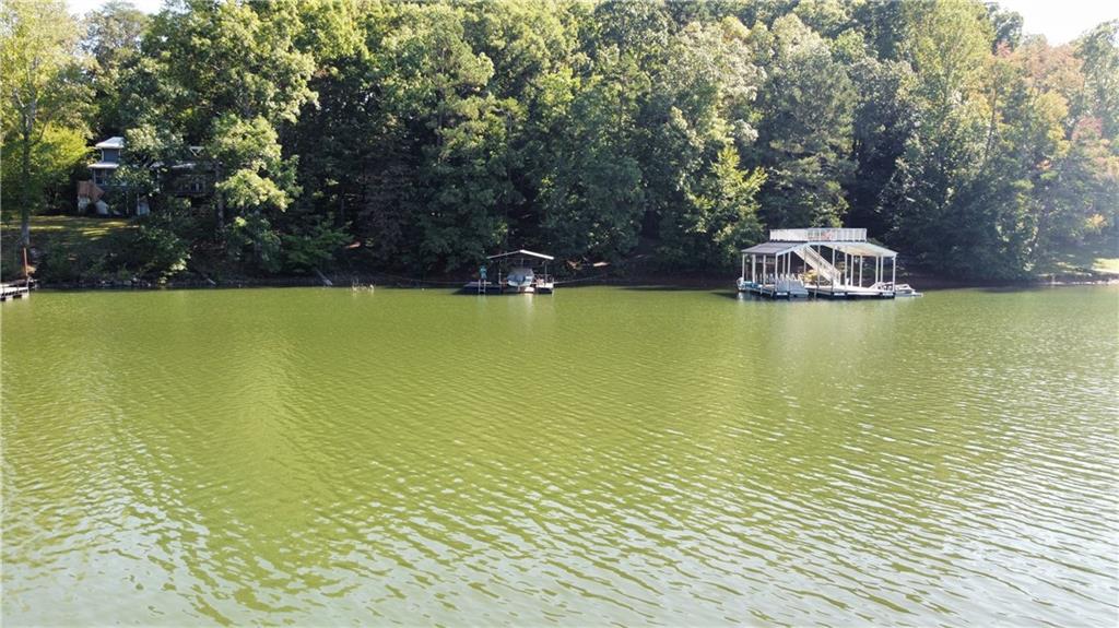 97 Apple Blossom Circle, Dawsonville, Georgia image 42