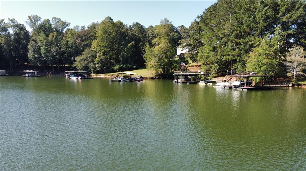 97 Apple Blossom Circle, Dawsonville, Georgia image 41