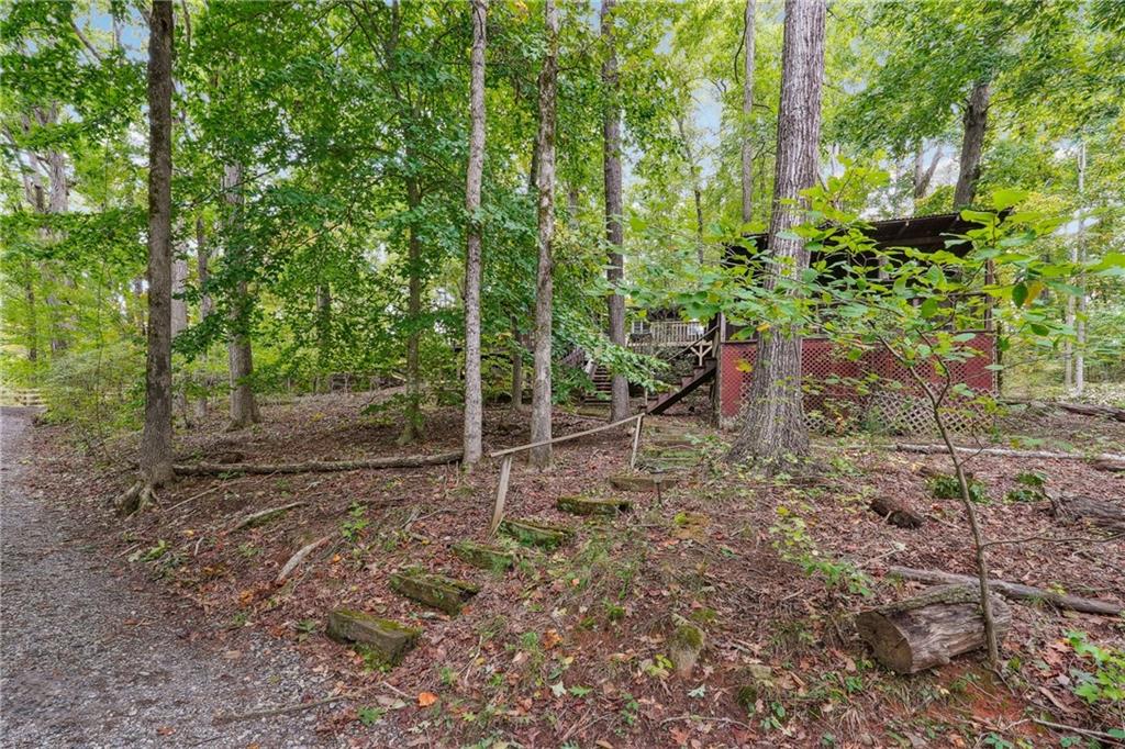 97 Apple Blossom Circle, Dawsonville, Georgia image 36