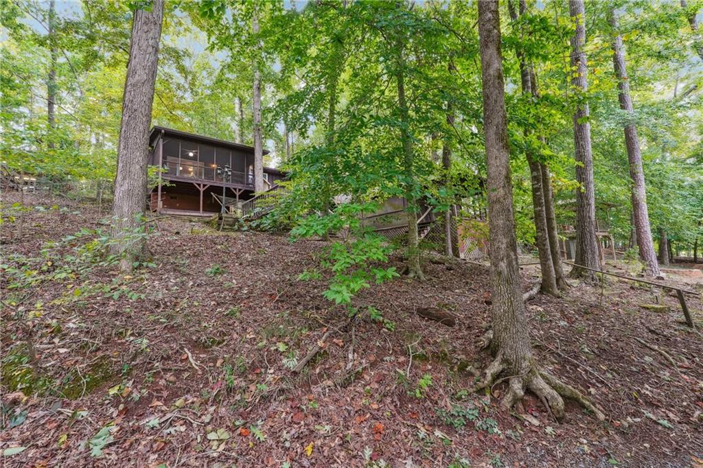97 Apple Blossom Circle, Dawsonville, Georgia image 35