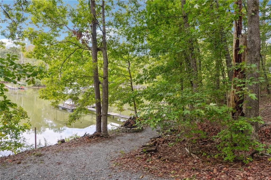 97 Apple Blossom Circle, Dawsonville, Georgia image 38