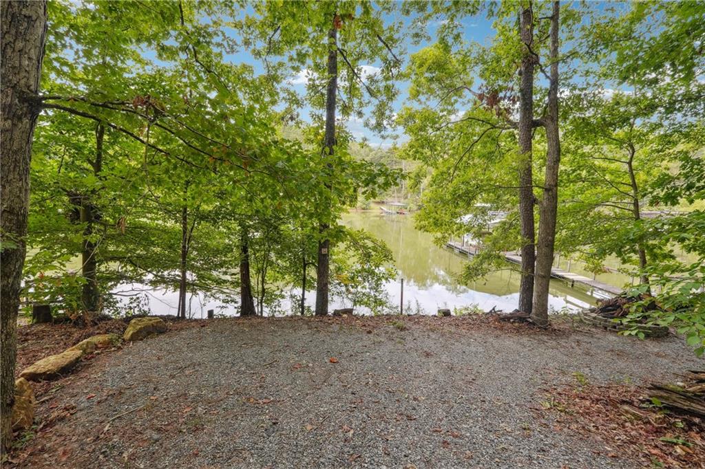 97 Apple Blossom Circle, Dawsonville, Georgia image 37