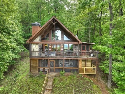 181 Ridge Circle Blue Ridge GA 30513