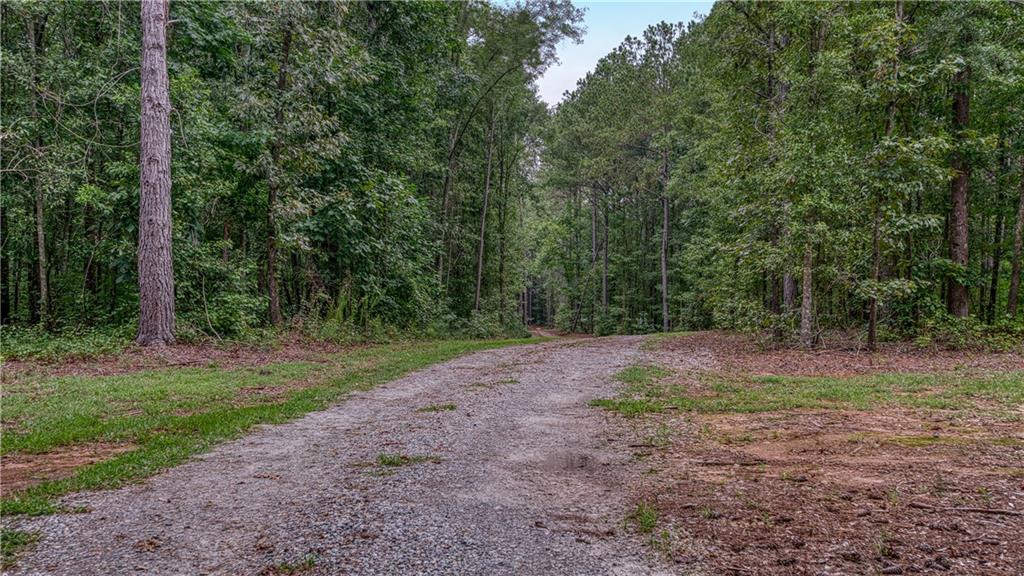 140 Levi Trail