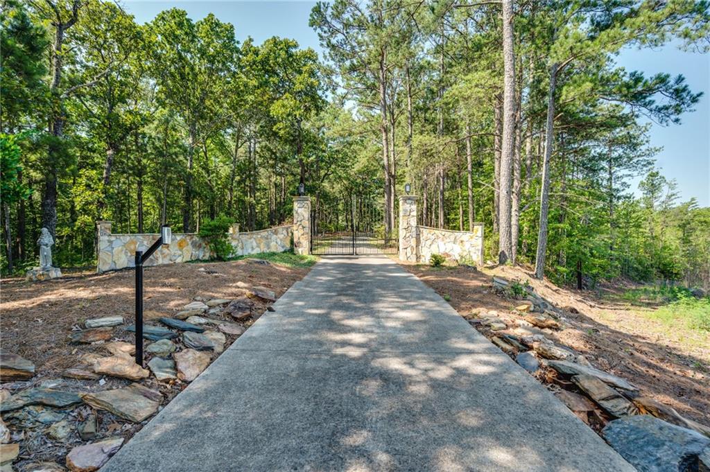 229 Steele Road, Tallapoosa, Georgia image 1