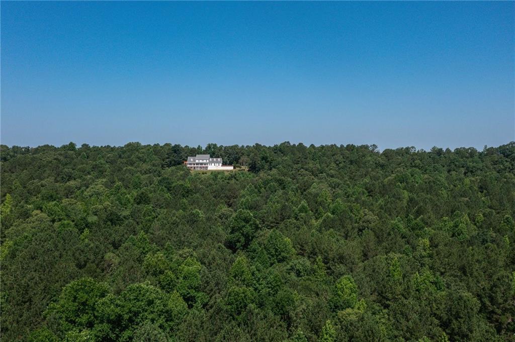 229 Steele Road, Tallapoosa, Georgia image 6