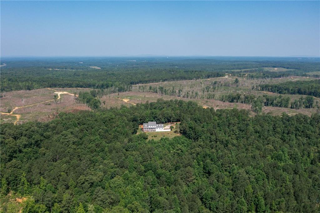 229 Steele Road, Tallapoosa, Georgia image 4