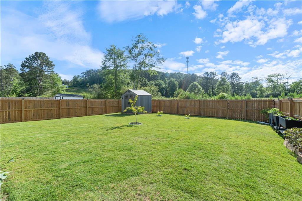 209 Sycamore Drive, Calhoun, Georgia image 29