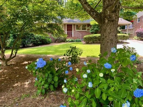 Homes For Sale - 2556 Defoors Ferry Road<br/> Atlanta, GA 30318