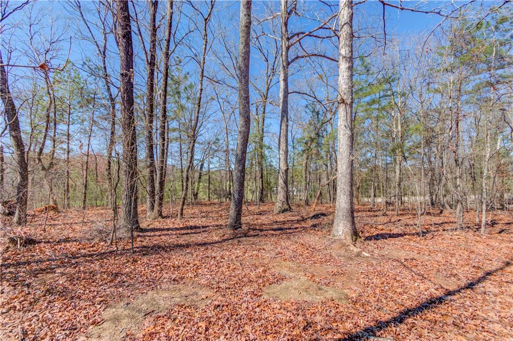 7609 Fern Lane, Lula, Georgia image 41