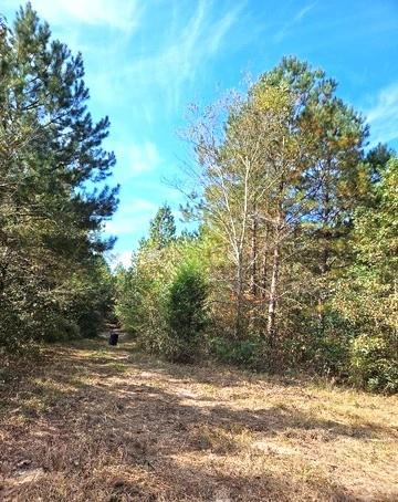 0 Fruit Farm Road