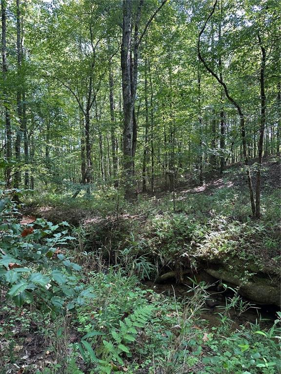 Pleasant Valley Road, Talking Rock, Georgia image 1