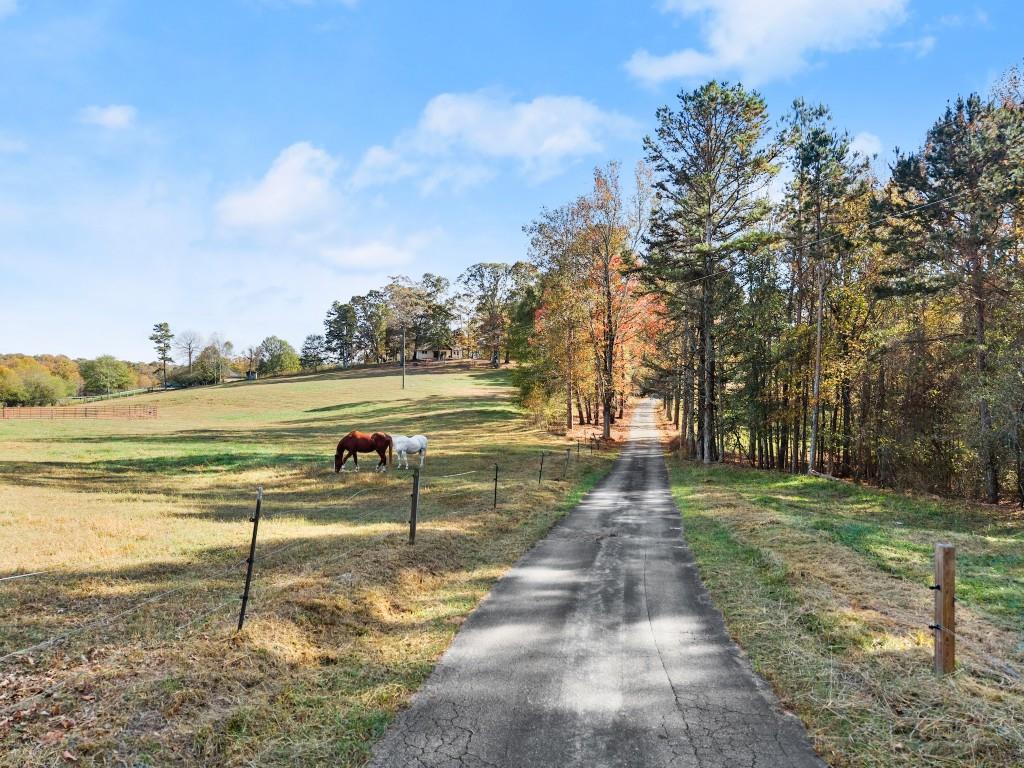 4402 Clarks Bridge Road, Gainesville, Georgia image 1