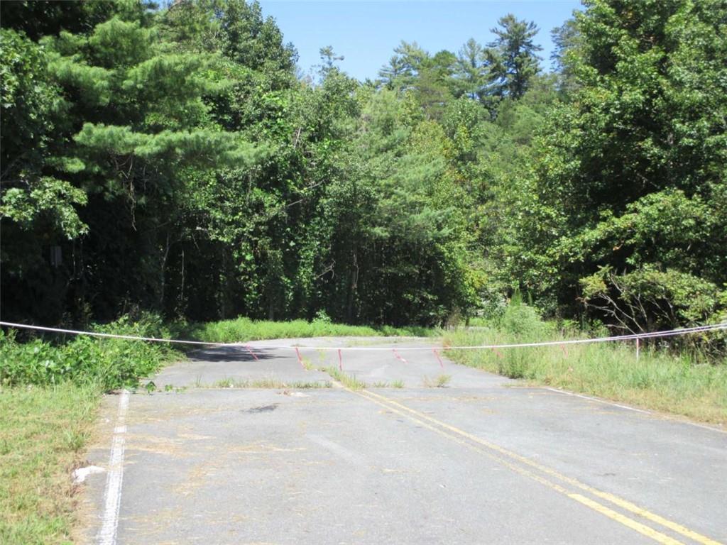 00 Hwy 515 @ White Path Springs Way