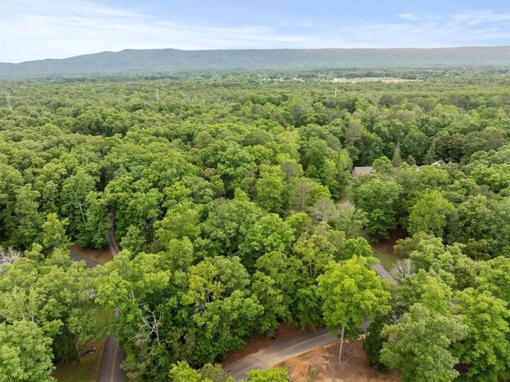 396 Russell Hill Estates Drive NW, Sugar Valley, GA, 30746